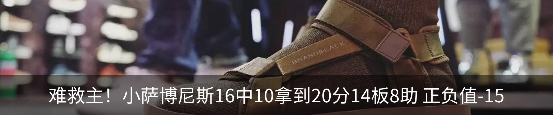 新闻动态